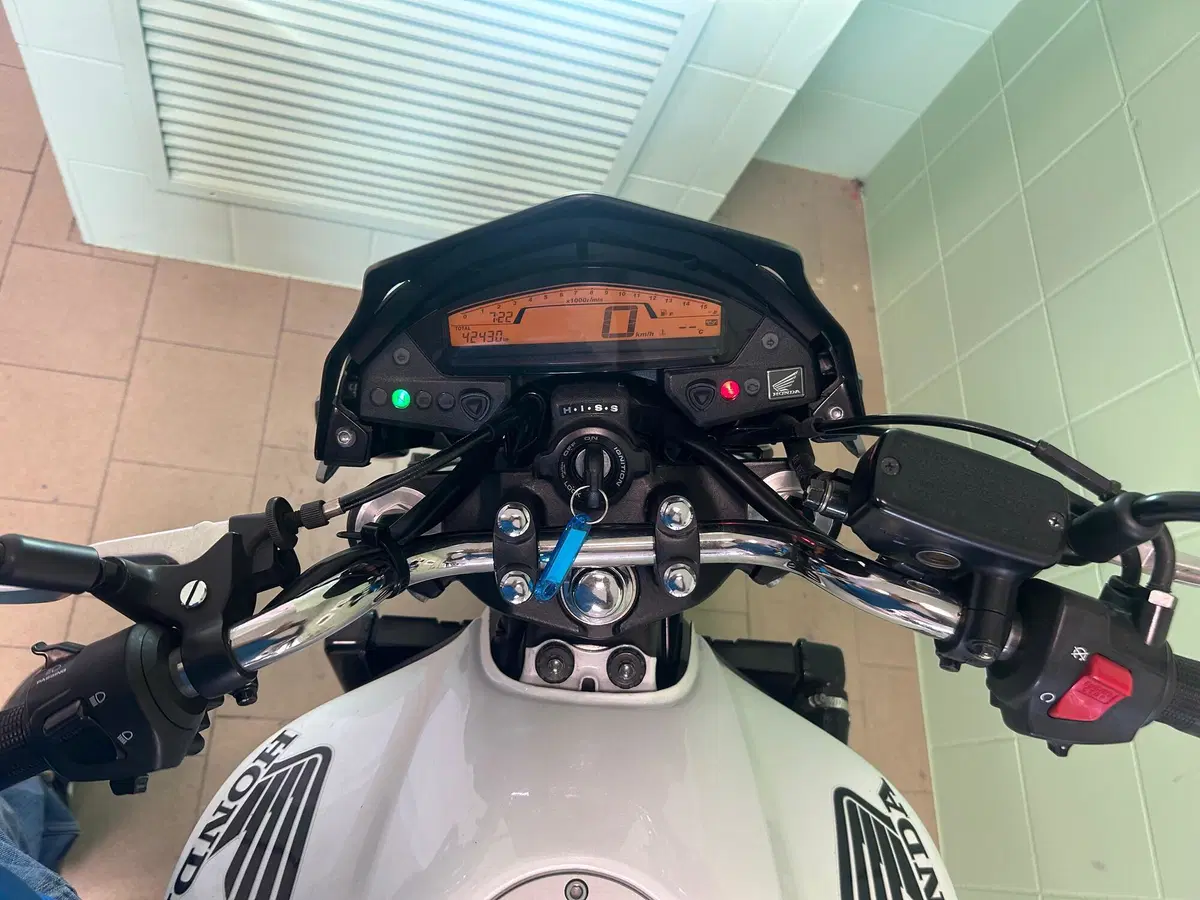 Honda Hornet 600 (2011 - 13) (5)