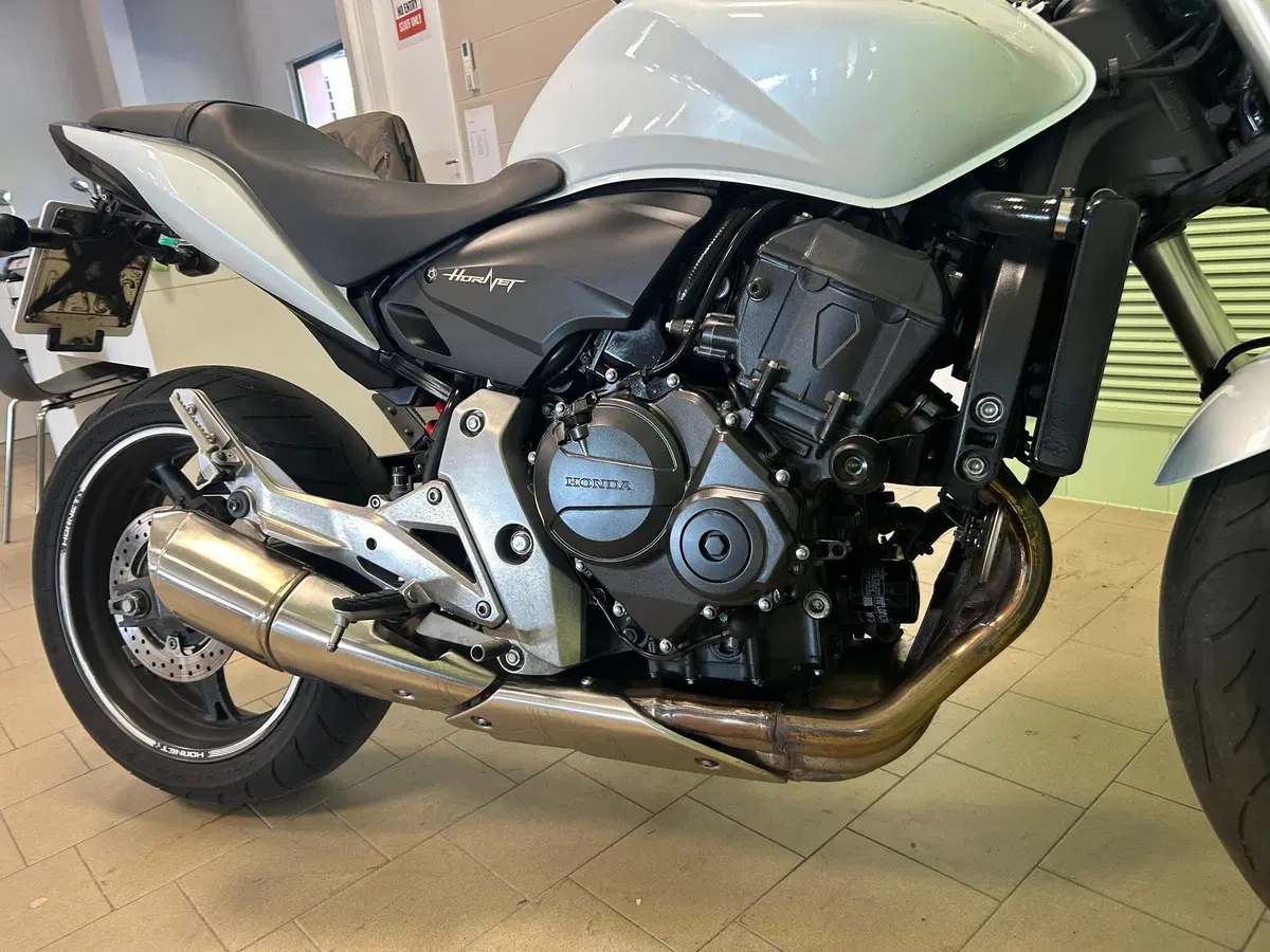 Honda Hornet 600 (2011 - 13) (14)