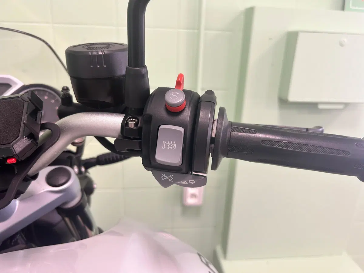 Bmw R 1200 R (2006 - 11) (15)