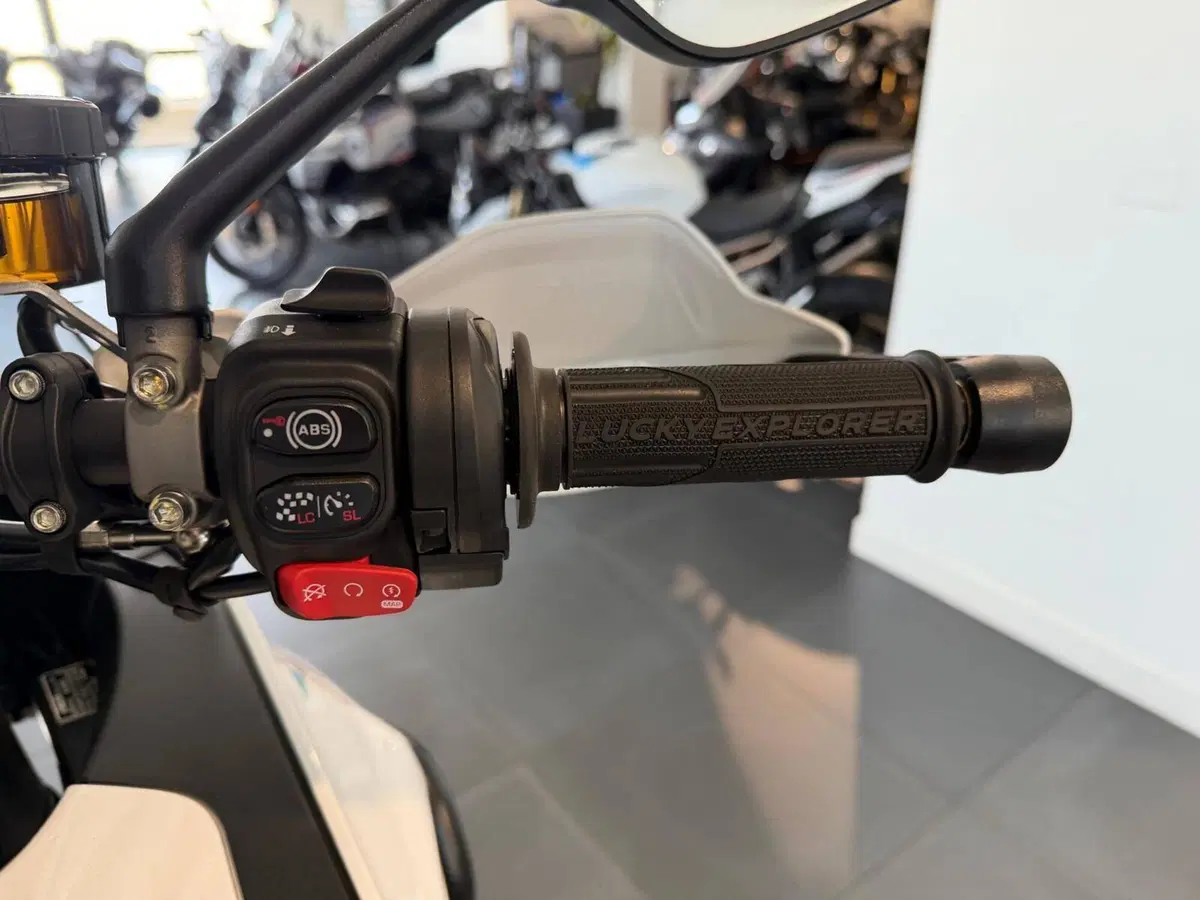 MV Agusta LXP Orioli (2024 - 26) (7)