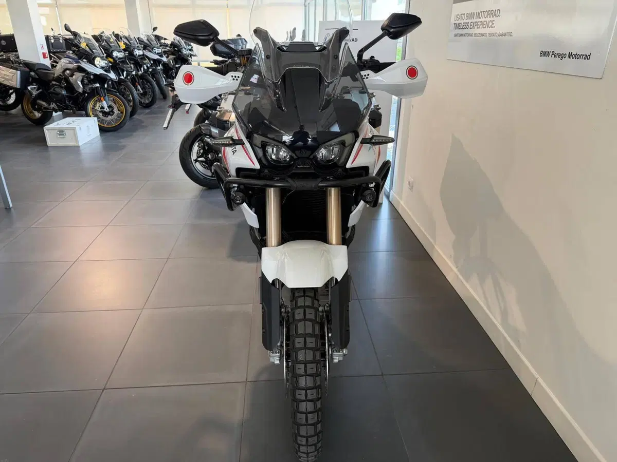 MV Agusta LXP Orioli (2024 - 26) (8)