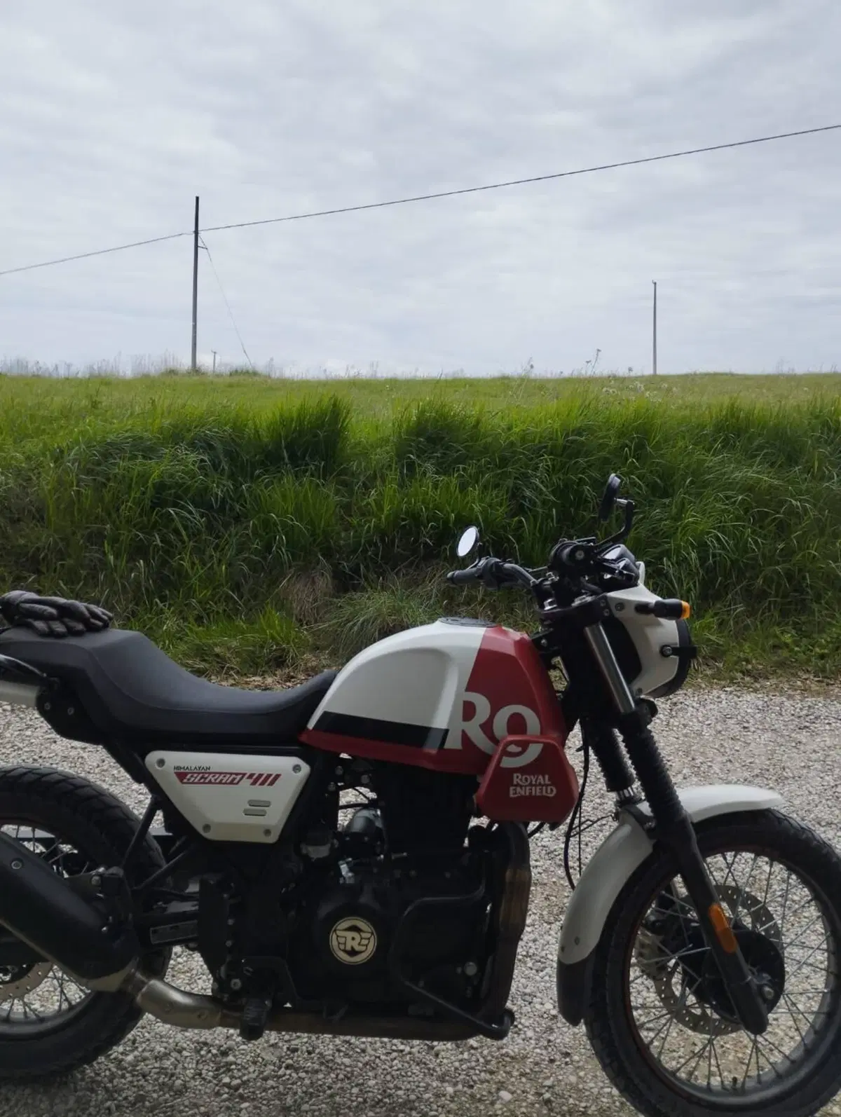 Royal Enfield Scram 411 (2022 - 24) (5)