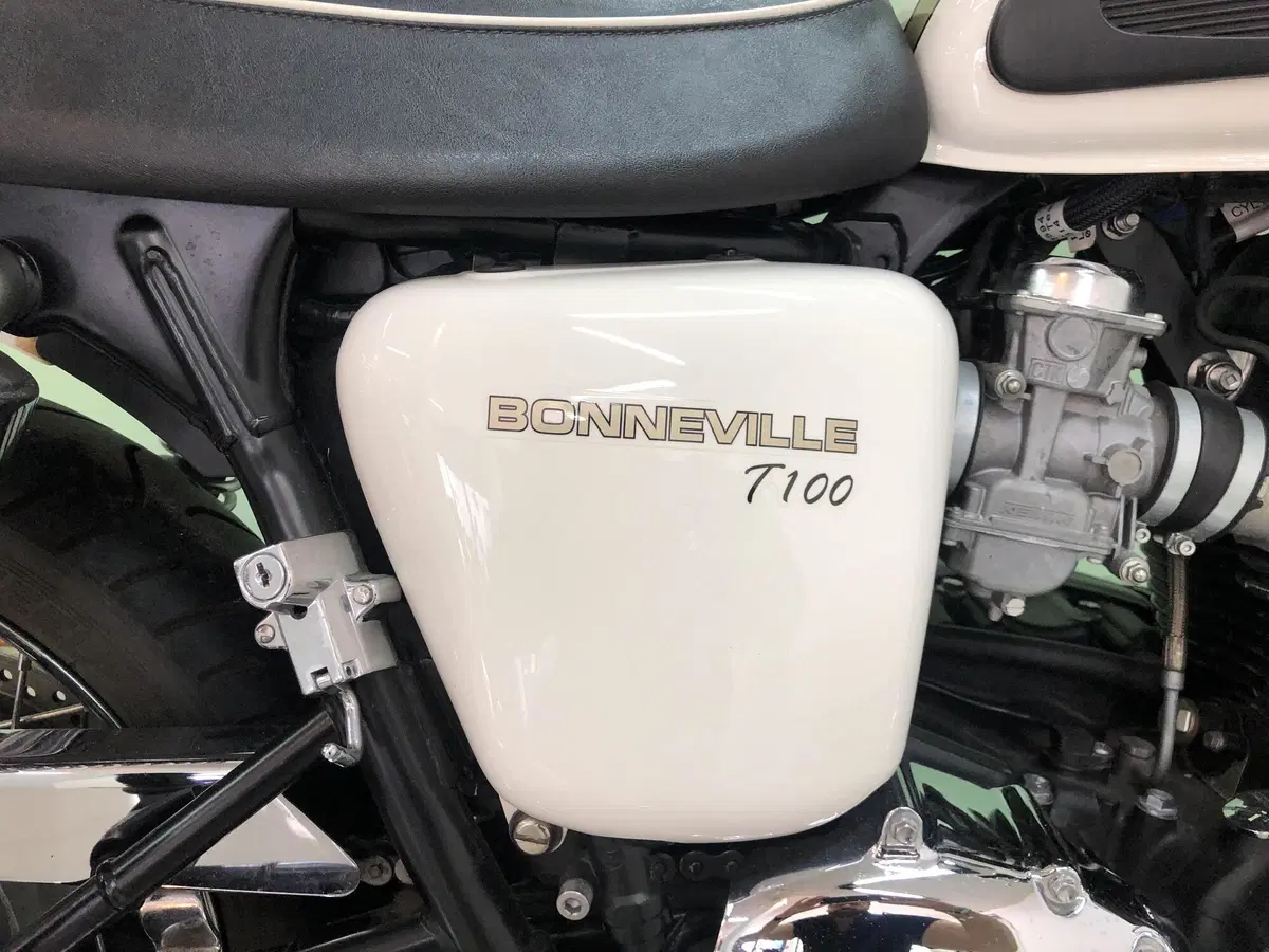 Triumph Bonneville T100 (2008 - 16) (2)