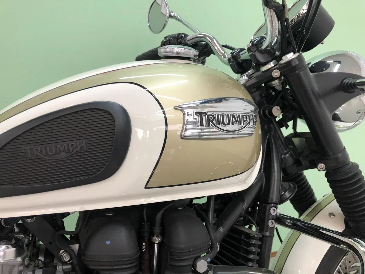 Triumph Bonneville T100 (2008 - 16) (3)