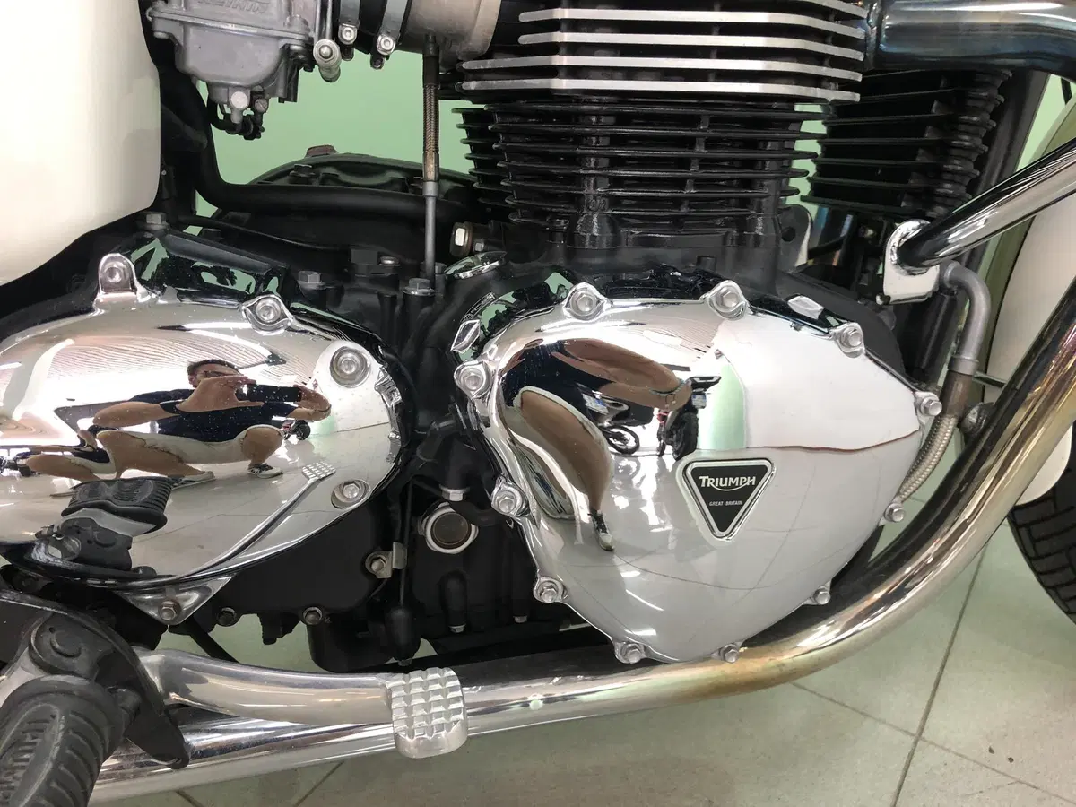 Triumph Bonneville T100 (2008 - 16) (4)