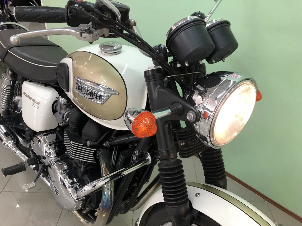 Triumph Bonneville T100 (2008 - 16) (7)