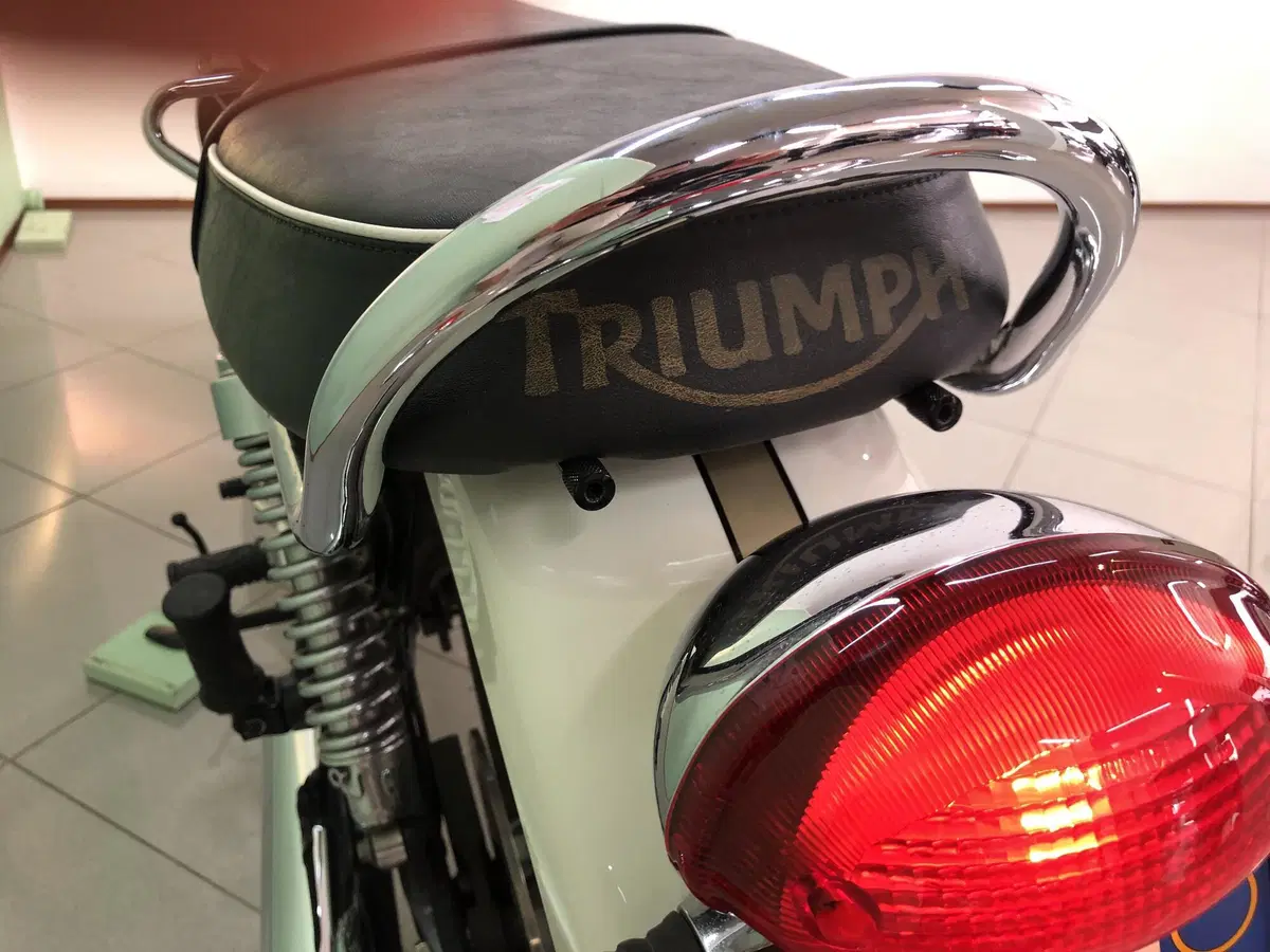 Triumph Bonneville T100 (2008 - 16) (13)