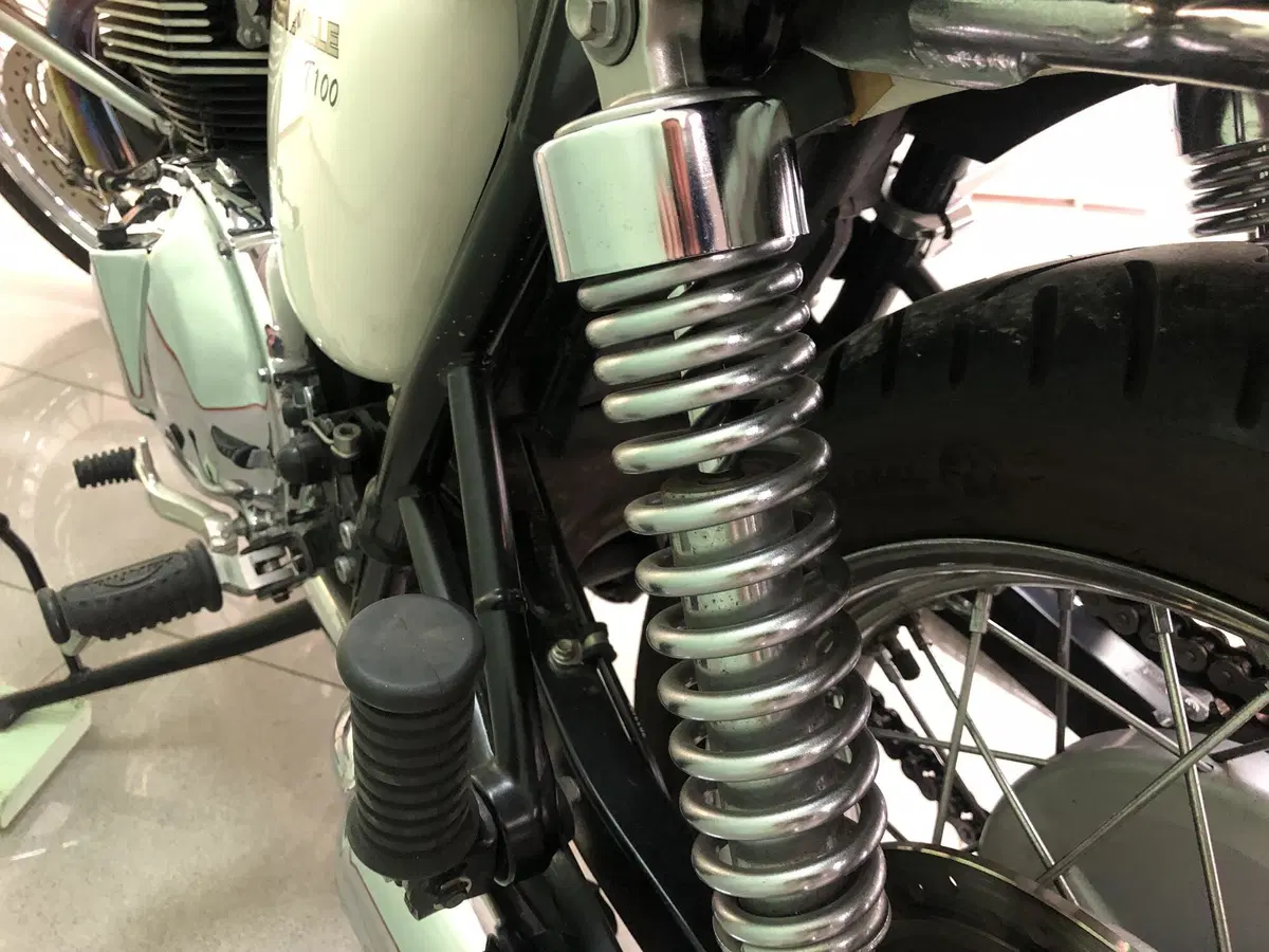 Triumph Bonneville T100 (2008 - 16) (14)