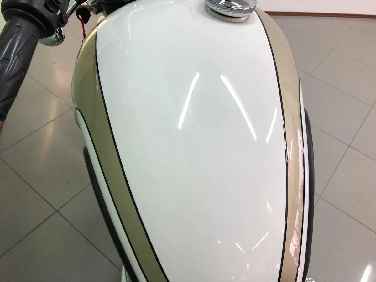 Triumph Bonneville T100 (2008 - 16) (16)