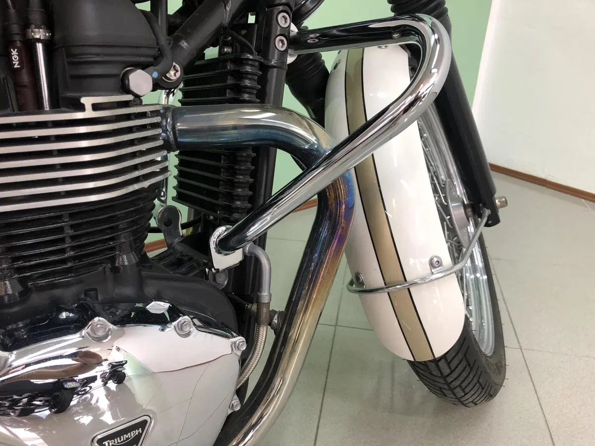 Triumph Bonneville T100 (2008 - 16) (17)