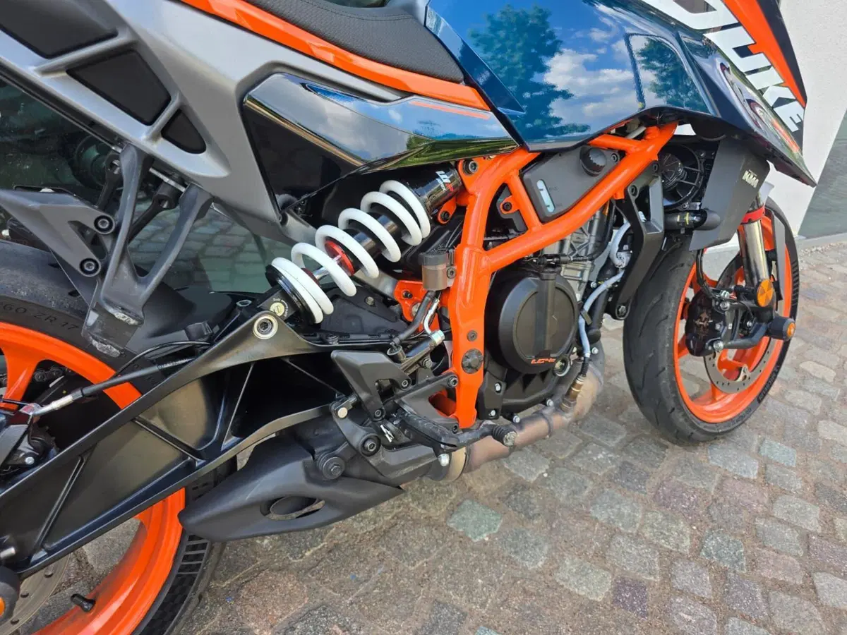 KTM 390 Duke (2024 - 25) (13)