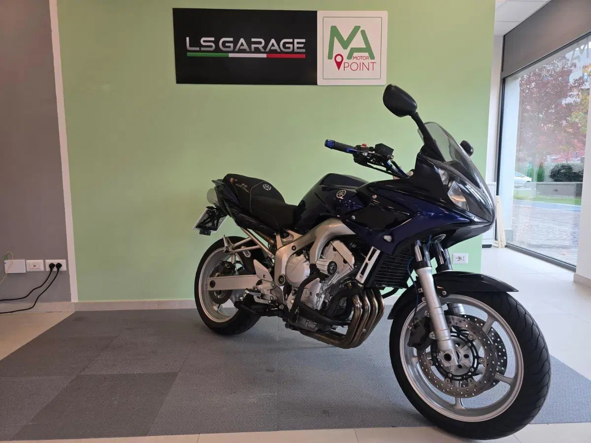 Yamaha FZ6 Fazer (2004 - 07) (4)