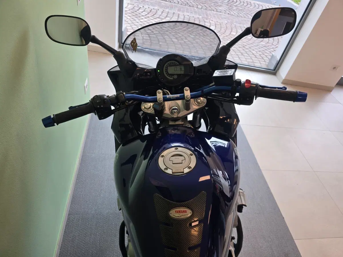 Yamaha FZ6 Fazer (2004 - 07) (10)