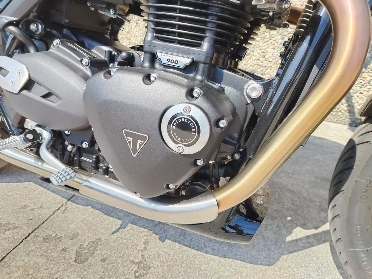 Triumph Speed Twin 900 (2025 - 26) (14)