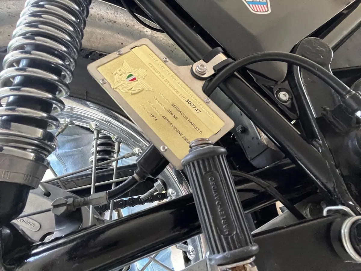 Aermacchi Harley-Davidson 350 SS (5)