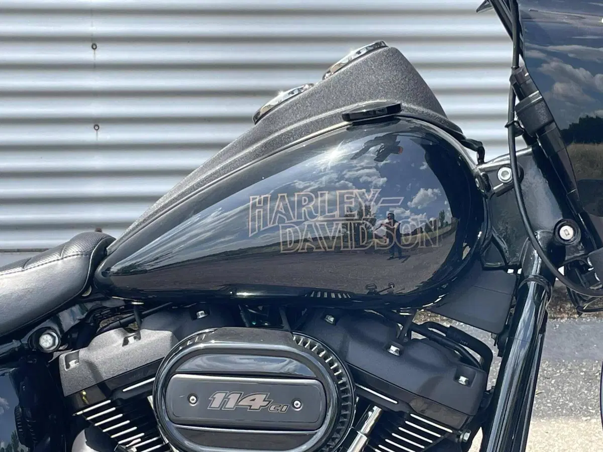 Harley-Davidson 114 Low Rider S (2021) - FXLRS (4)