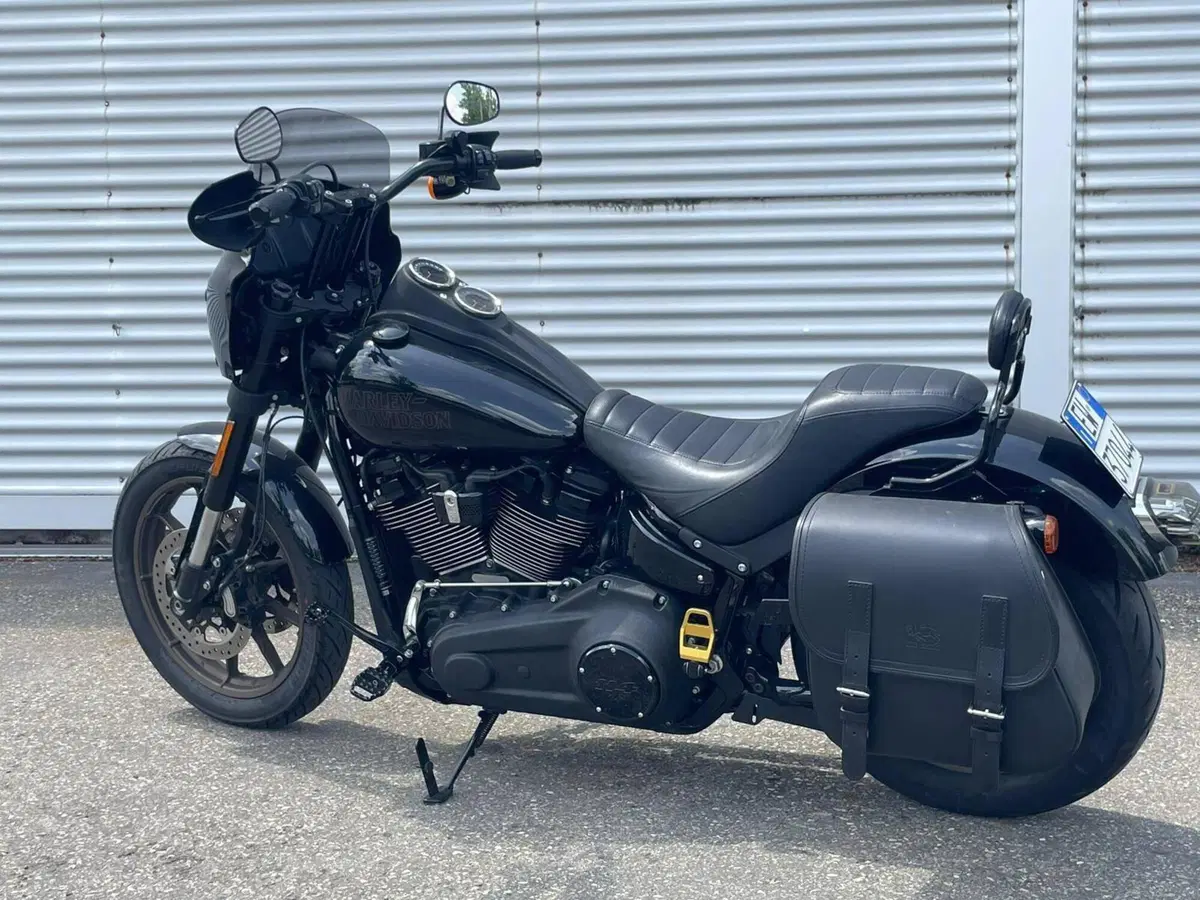 Harley-Davidson 114 Low Rider S (2021) - FXLRS (2)