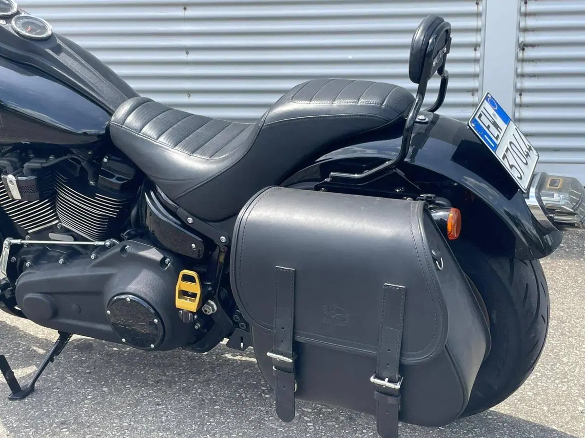 Harley-Davidson 114 Low Rider S (2021) - FXLRS (11)