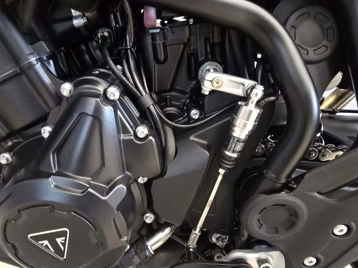 Triumph Tiger 900 GT (2024 - 26) (9)
