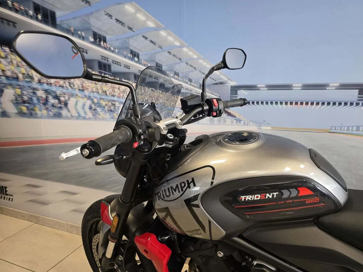Triumph Trident 660 (2021 - 24) (11)