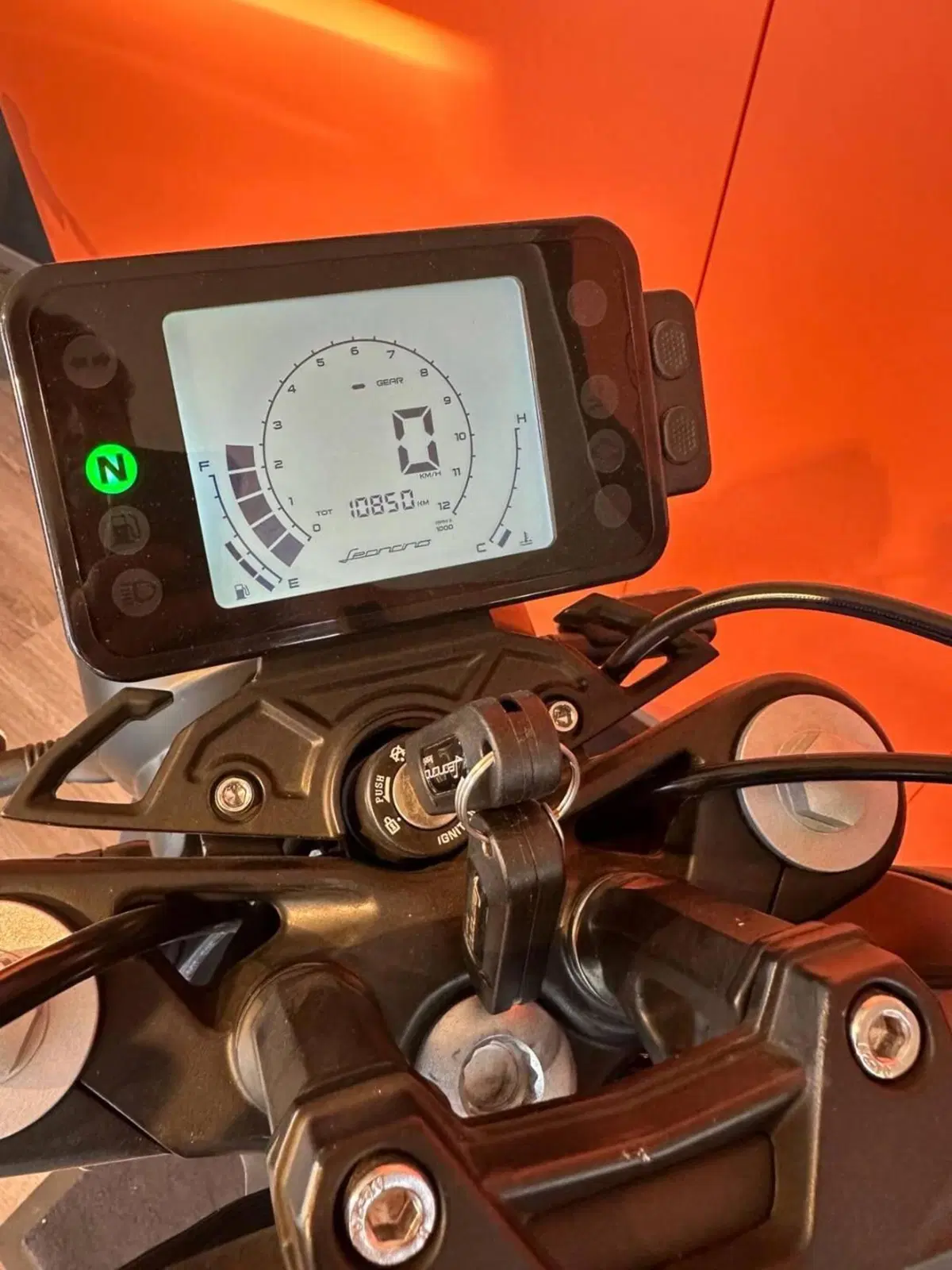 Benelli Leoncino 125 (2022 - 25) (5)