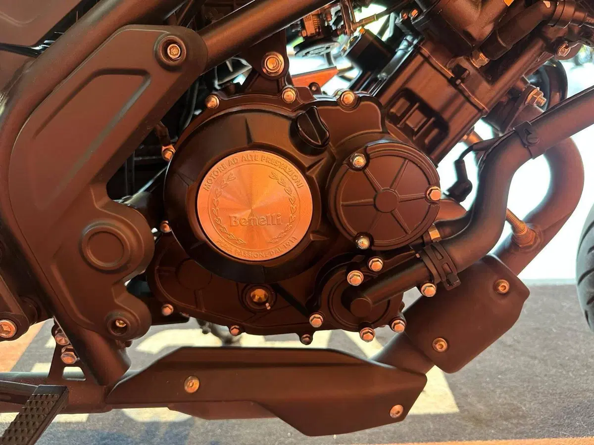 Benelli Leoncino 125 (2022 - 25) (7)