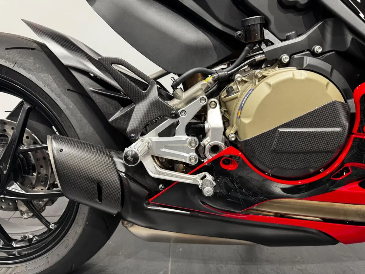 Ducati Panigale V2 Superquadro Final Edition (2024) (14)
