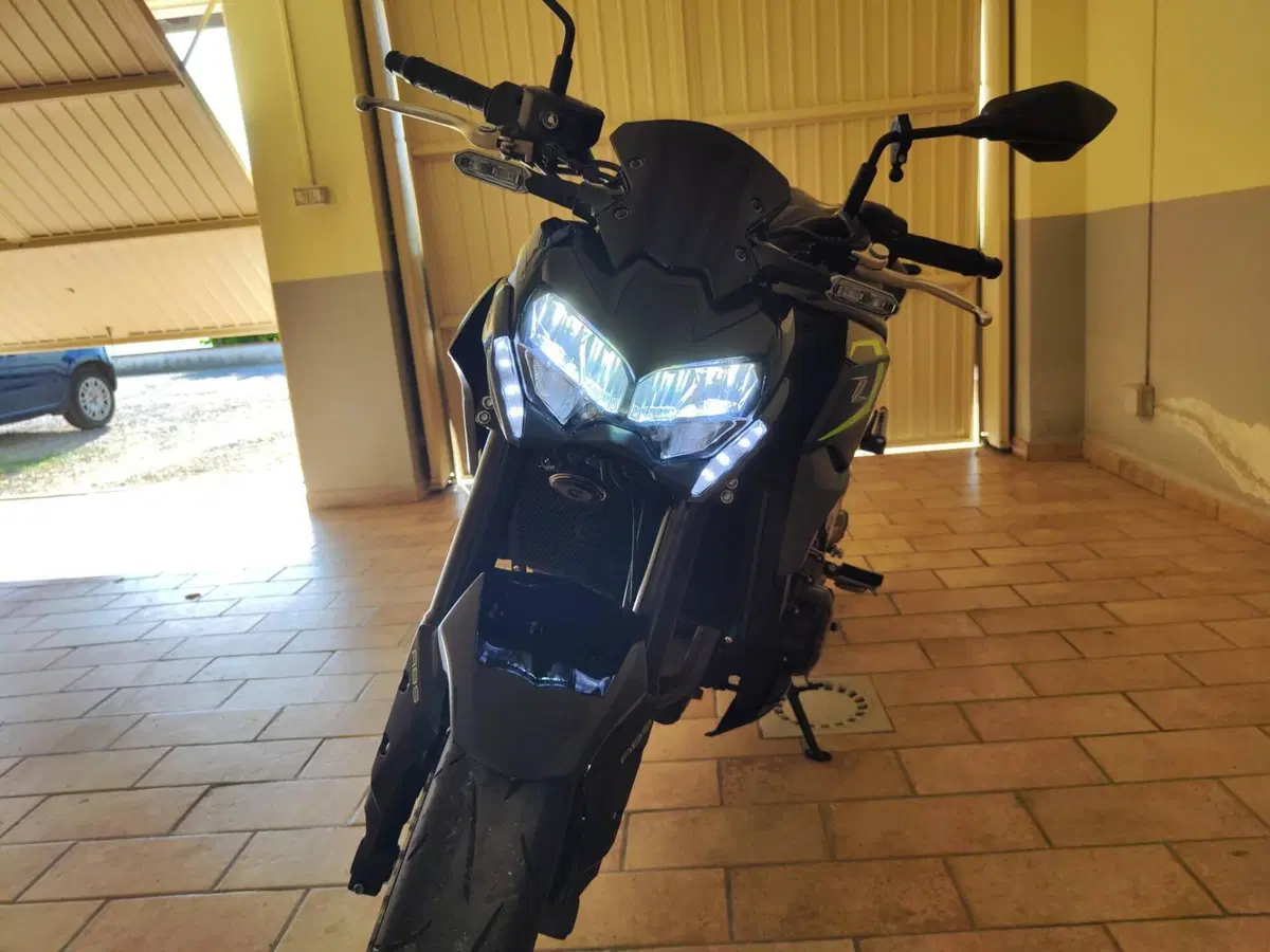 Kawasaki Z 900 (2021 - 24) (4)