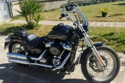 Harley-Davidson Softail Standard (2020) - FXST usata