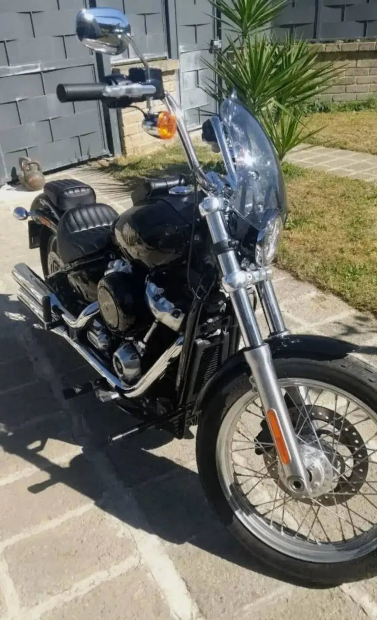 Harley-Davidson Softail Standard (2020) - FXST (3)