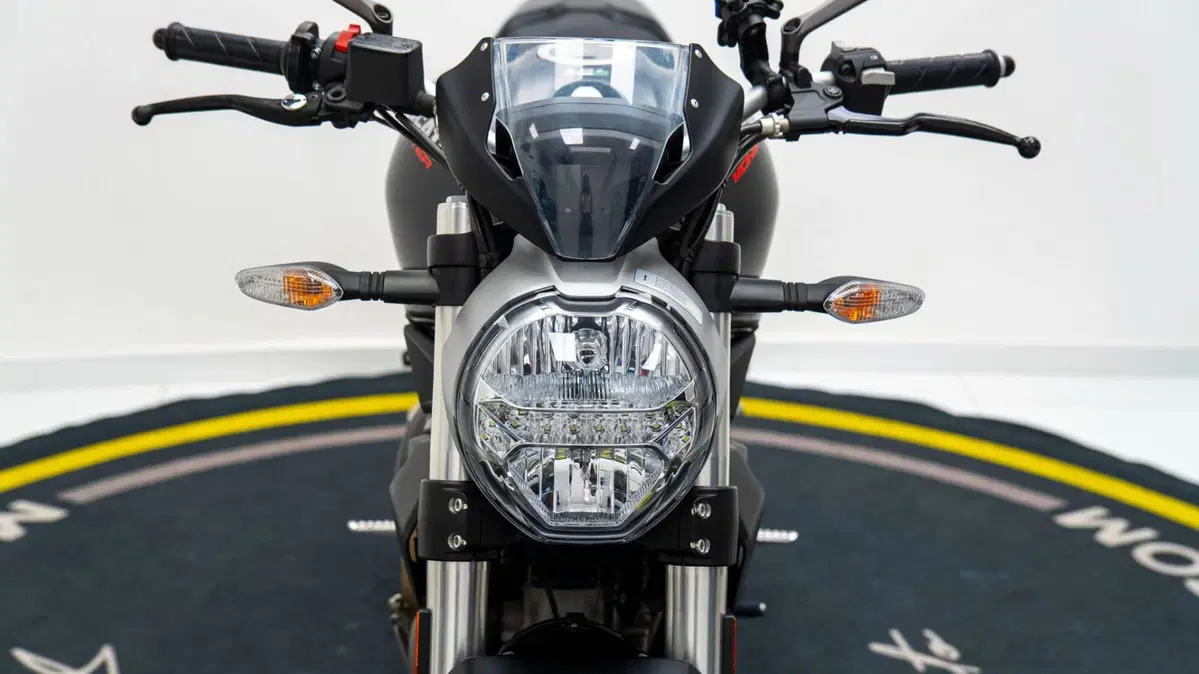 Ducati Monster 797 (2017 - 18) (3)