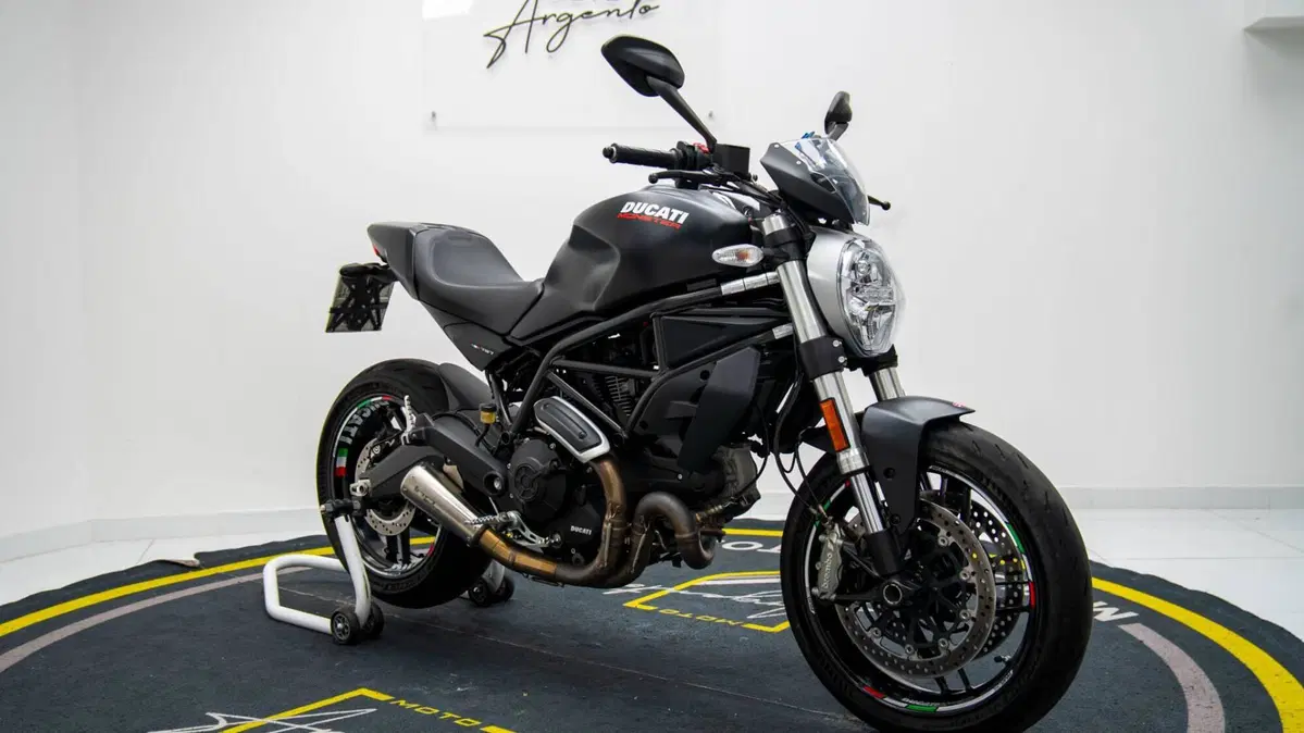 Ducati Monster 797 (2017 - 18) (12)
