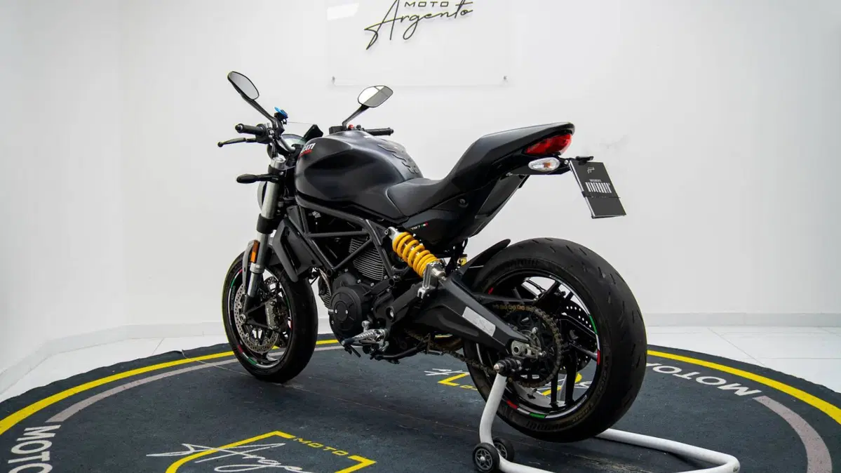 Ducati Monster 797 (2017 - 18) (16)