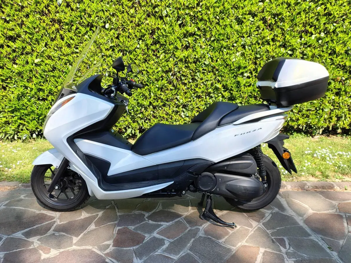 Honda Forza 300 ABS (2013 - 17) (2)