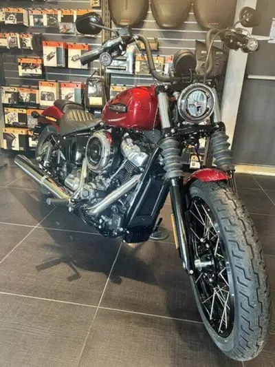 Harley-Davidson Street Bob 117 (2025 - 26) nuova