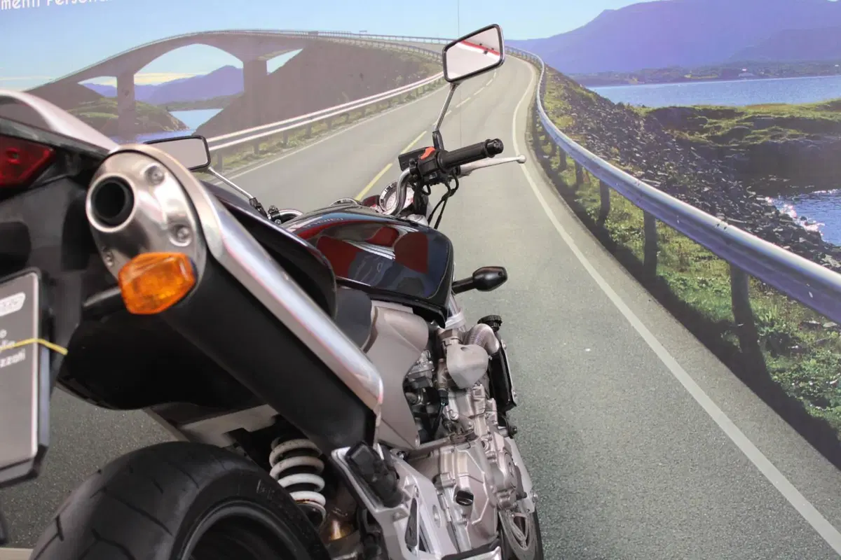 Honda Hornet 600 (2003 - 04) (18)