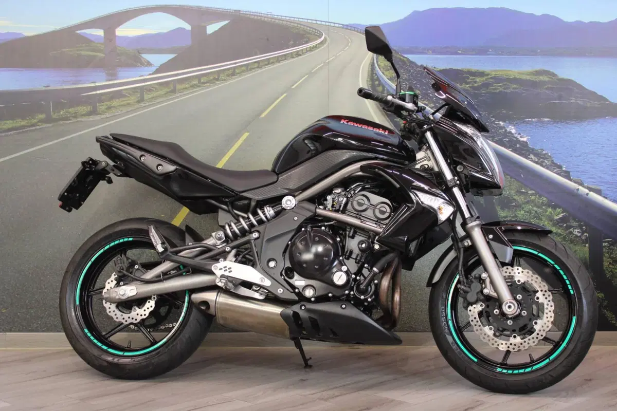 Kawasaki ER-6N (2009 - 11) (5)