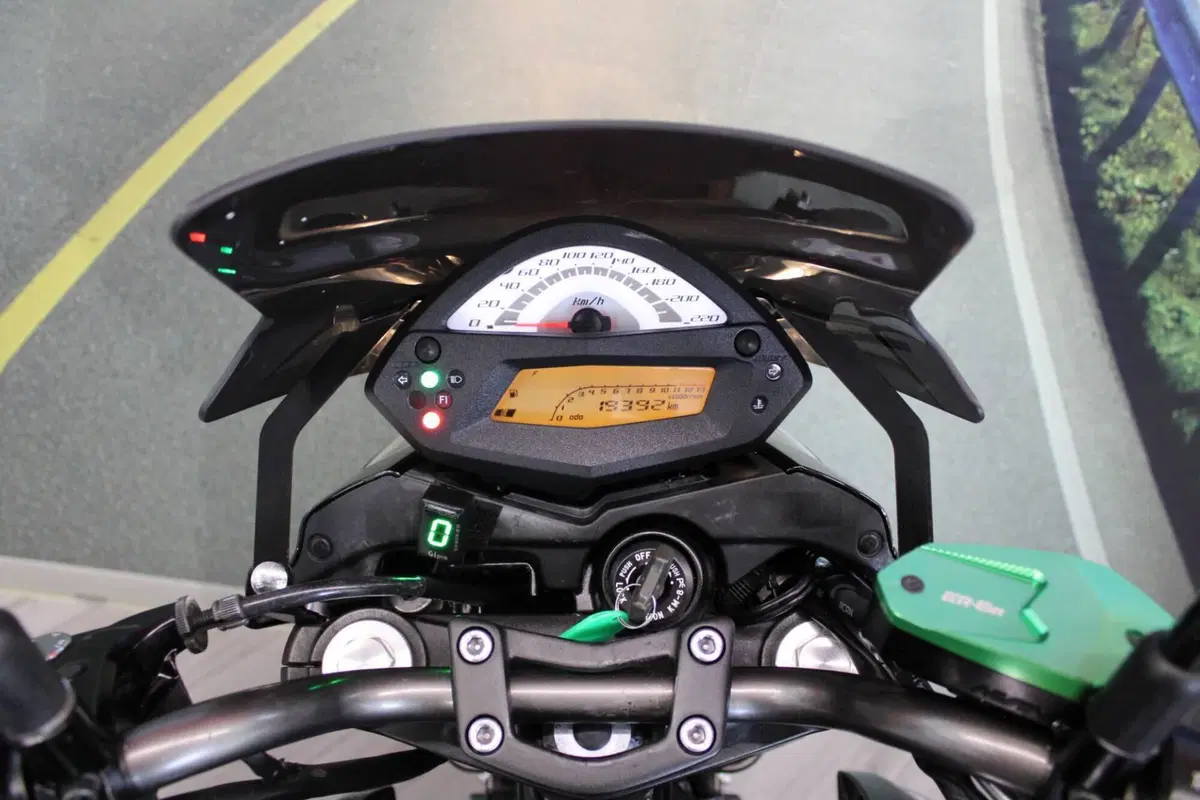 Kawasaki ER-6N (2009 - 11) (6)