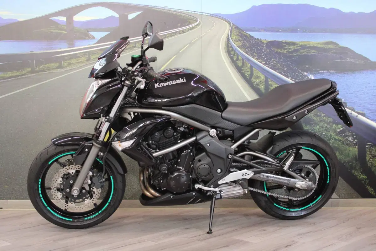 Kawasaki ER-6N (2009 - 11) (7)