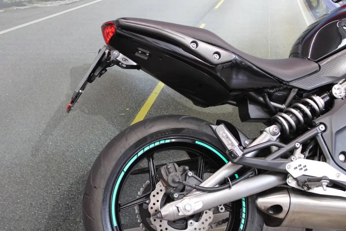 Kawasaki ER-6N (2009 - 11) (15)