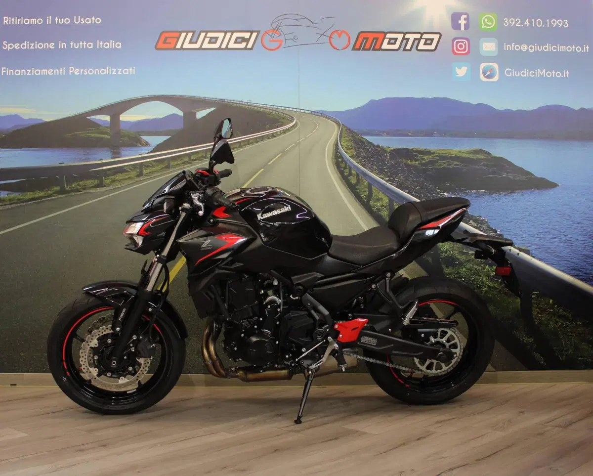 Kawasaki Z 650 (2021 - 24) (3)