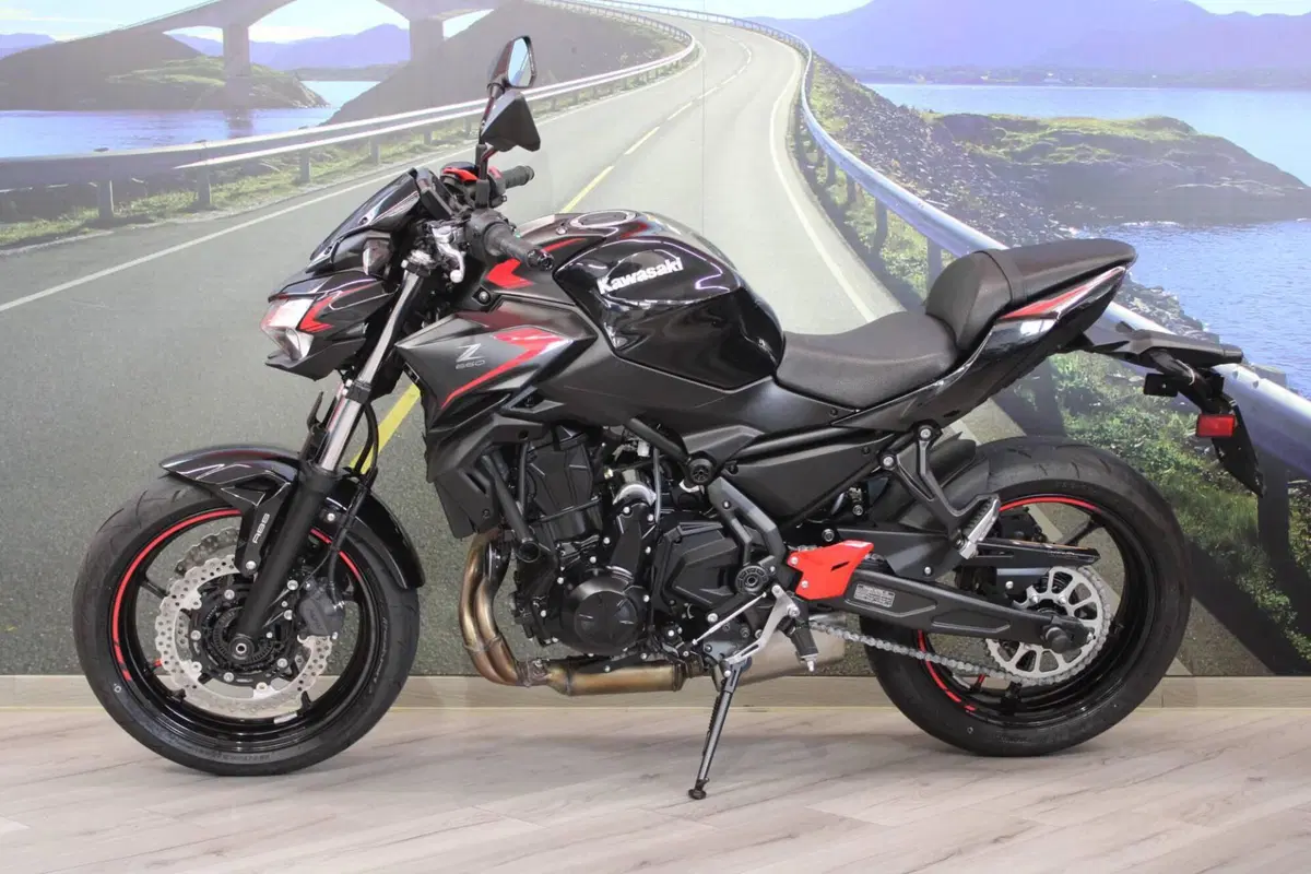 Kawasaki Z 650 (2021 - 24) (7)