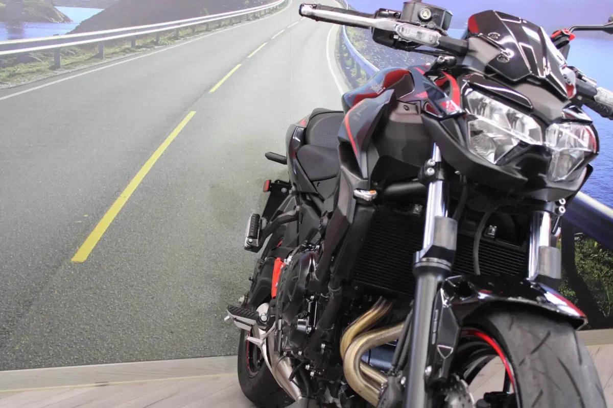 Kawasaki Z 650 (2021 - 24) (10)