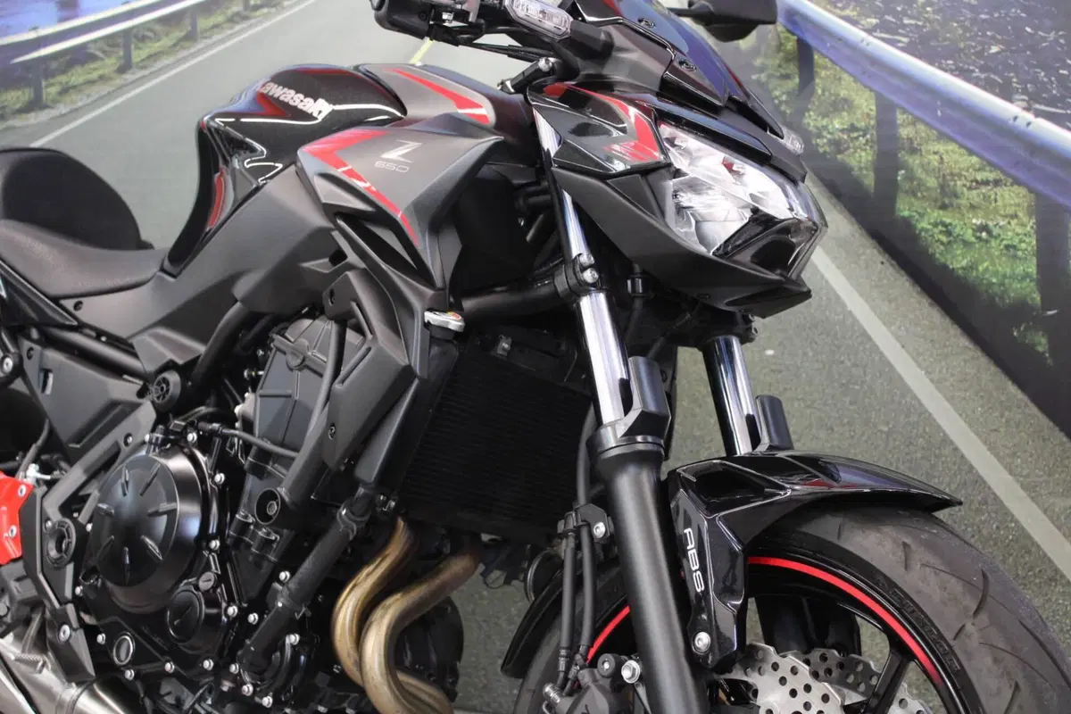 Kawasaki Z 650 (2021 - 24) (12)