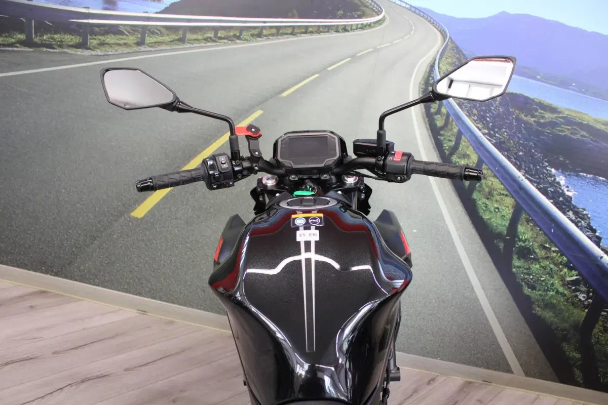 Kawasaki Z 650 (2021 - 24) (20)