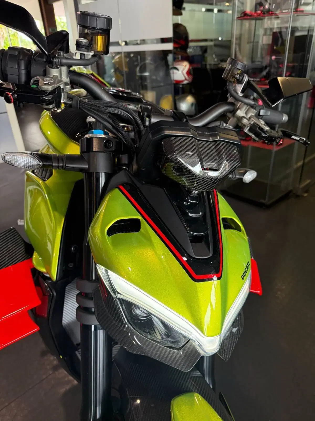 Ducati Streetfighter V4 Lamborghini (2023 - 24) (5)