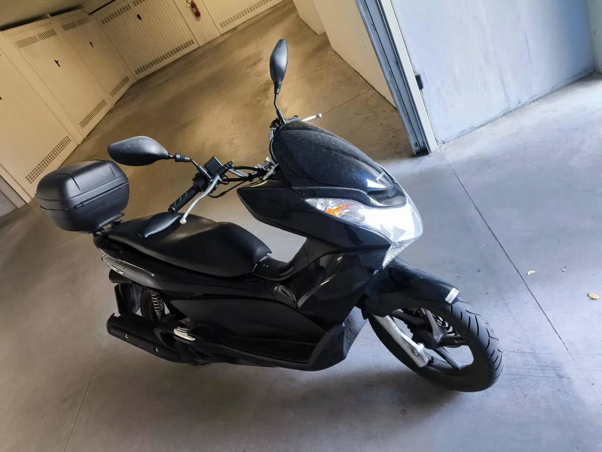 Honda PCX 125 (2009 - 13)