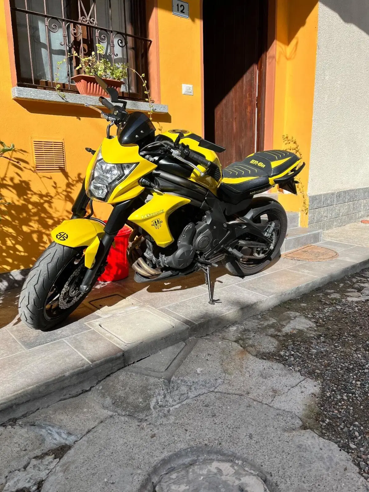 Kawasaki ER-6N (2012 - 13) (5)