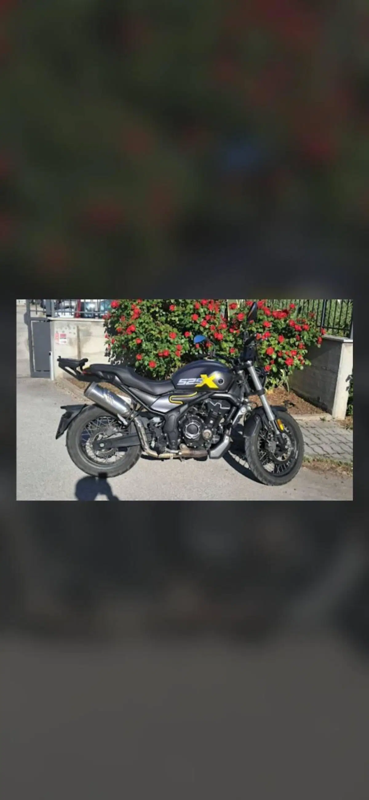 Voge Trofeo 525ACX Scrambler (2023 - 26)