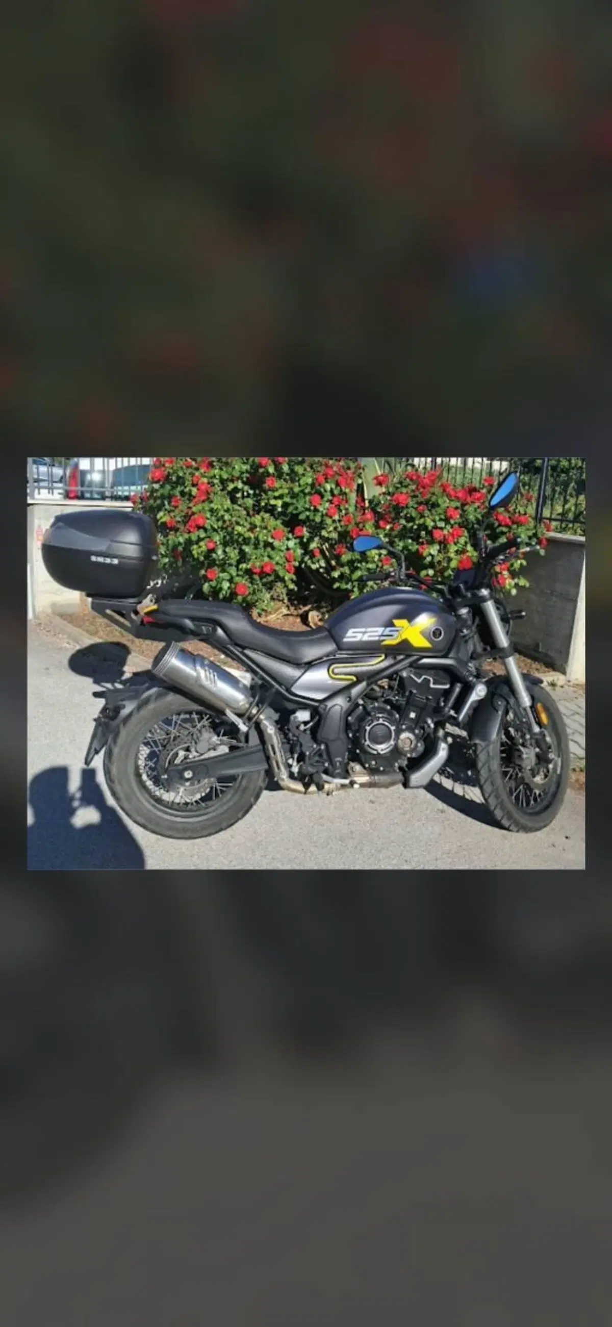 Voge Trofeo 525ACX Scrambler (2023 - 26) (2)